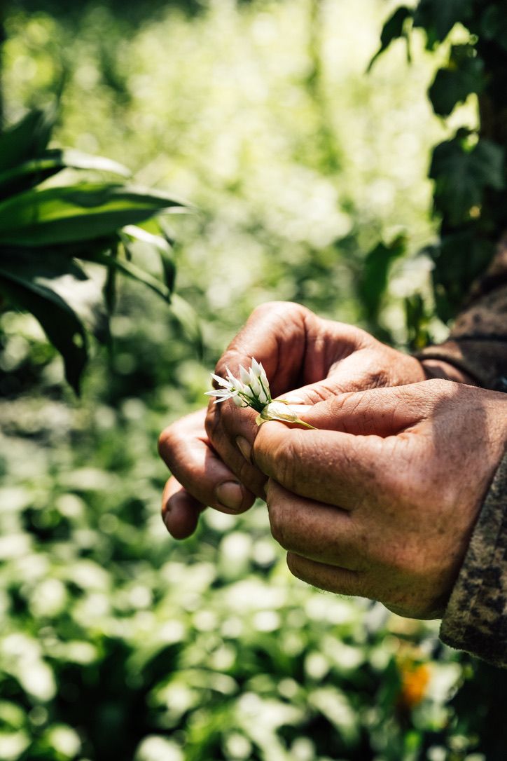 Gathered by hand